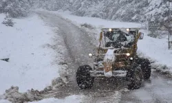 Artvin'de 38 köy yolu ulaşıma kapandı