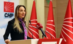 CHP'li Nazlıaka’dan bakanlığın kreş yazısına tepki: “Bu karar kadına yönelik bir şiddettir”