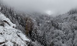 Artvin'de kar nedeniyle 7 köye ulaşım sağlanamıyor