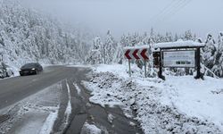 Bolu Dağı'nda kar yağışı