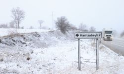 Edirne'nin yüksek kesimlerinde kar yağışı başladı