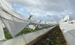 Antalya'da  dolu ve sağanak seralara zarar verdi