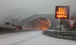 Bolu Dağı'nda kar yağışı başladı