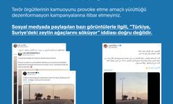 DMM: 'Türkiye, Suriye'deki zeytin ağaçlarını söküyor' iddiası doğru değildir