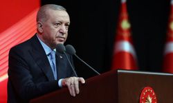 Cumhurbaşkanı Erdoğan, Avusturya Başbakanı Nehammer ile telefonda görüştü