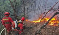 Çin'in Sichuan eyaletinde orman yangını: 140'tan fazla kişi tahliye edildi