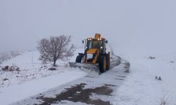 Tunceli'de 40 köy yolu ulaşıma kapandı