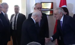 DEM Parti heyeti, Bahçeli ile görüştü