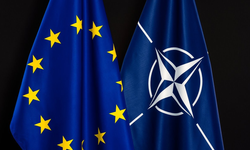 NATO'nun 2025 Tatbikatları: Ağırlık merkezi Doğu Avrupa'ya