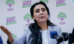 DEM Parti heyeti ile görüşen Figen Yüksekdağ'dan açıklama