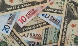 Dolar kaç TL? Euro ne kadar oldu? 16 Ocak 2025 döviz kurları...