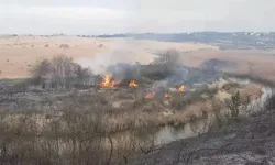 Sakarya'da başlayan yangın Kocaeli'ye sıçradı