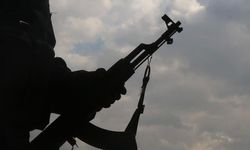 Şanlıurfa'da 1 terörist teslim oldu