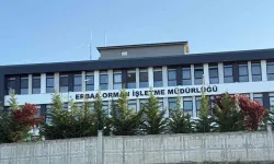Tokat'ta orman ihalelerinde yolsuzluk operasyonu: 7 kamu görevlisi serbest