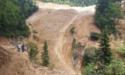 Giresun Valiliğinden, çevresel iddialarla ilgili açıklama