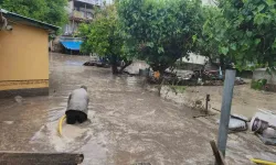 Bakan Yerlikaya'dan Osmaniye'deki sel felaketine ilişkin açıklama