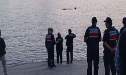 Gölete giren 13 yaşındaki çocuk, kayboldu