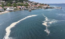 Marmara Denizi'nde müsilaj yeniden görüldü
