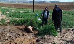 Boynuna kadar batağa saplanan ineği itfaiye kurtardı!