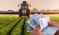 Çiftçilere destek ödemesi bugün yapılacak