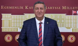 CHP'li Gürer, 2025 yılı yaş çay alım fiyatının yeniden değerlendirilmesini istedi