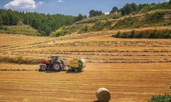 AB tarımı kötü hava koşullarından yılda 28,3 milyar avro kaybediyor