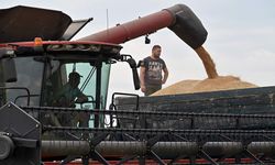 AB, Ukrayna’nın tarım ürünlerine yönelik ticaret politikasına son verdi