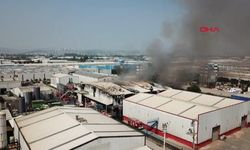 Kocaeli'de boya tesisinde yangın