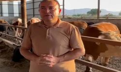 Dananın saldırısına uğrayan iş insanı, 3 gün sonra hayatını kaybetti