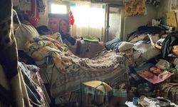 Çöp evden 4 kamyon çöp, 12 kedi ile 3 kaplumbağa çıktı