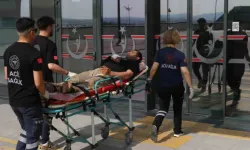 İstanbul'da Kurban kesimi nedeniyle 776 kişi yaralandı