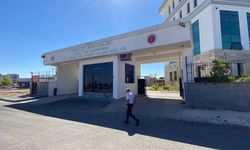 Başından silahla vurulan Elif öldü