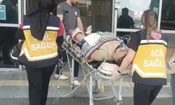 Kurban keserken kendilerini yaralayan 30 kişi hastanelik oldu