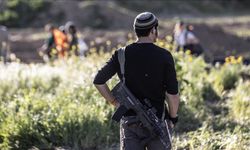 Filistinli halka saldırı: Hayvanlarına el koydular!