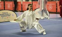 Türkiye ve Çin arasında "Wushu Kung Fu" görüşmesi