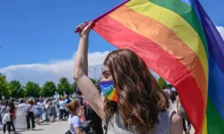 Braun, parlamentodaki LGBT temalı sergiyi kaldırdı