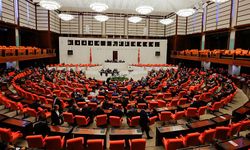 DEM Parti’nin yeni Meclis Başkanvekili belli oldu