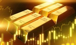 Gümüş 14 yılın platin 11 yılın zirvesine yükseldi