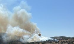 Muğla Milas'taki yangında son durum ne?