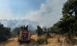 Kütahya'da yangın kontrol altına alındı