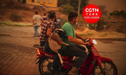 Kâr hırsı ormanları küle çevirdi! Yangınların sorumlusu kim? 'Kağıt üzerinde denetim...'