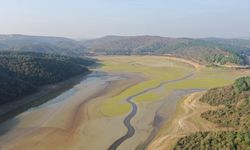 İstanbul'da 2 baraj kuruma seviyesine geldi!