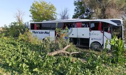 Konya'da korkutan kaza: Yolcu otobüsü şarampole devrildi