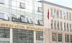 Orman Genel Müdürlüğü'nden Şarköy yangınına ilişkin açıklama