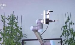 Çin, 'Geair' adlı tohum robotunu tanıttı
