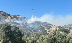 Aydın'daki yangın ile ilgili 2 kişi gözaltına alındı