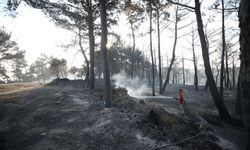 Bakan Yumaklı: Yangının ilerlemesi durduruldu