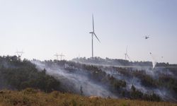 Çanakkale'deki yangın kontrol altına alındı