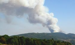 Karabük'te ormanlık alanda çıkan yangına müdahale ediliyor