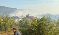 Bartın'da orman yangınına müdahale ediliyor!